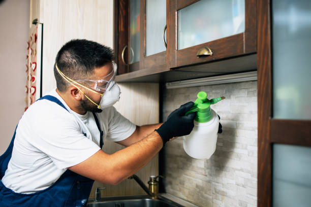 Best Wasp Removal Services  in Waterford, WI