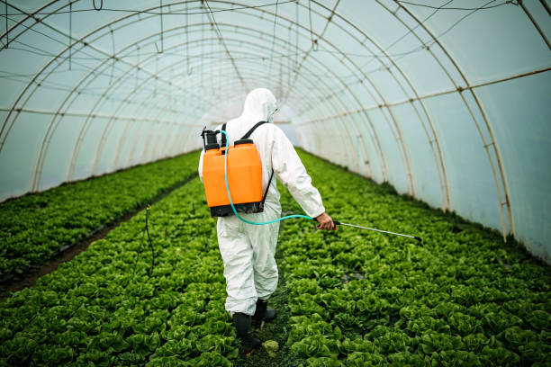 Best Pest Control Near Me in Waterford, WI