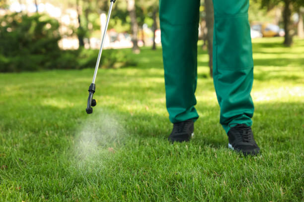Best Pest Removal Services  in Waterford, WI