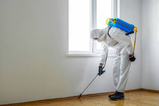 Best Mosquito Control Services  in Waterford, WI