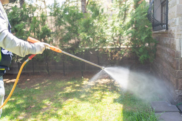 Best Best Pest Control Companies  in Waterford, WI