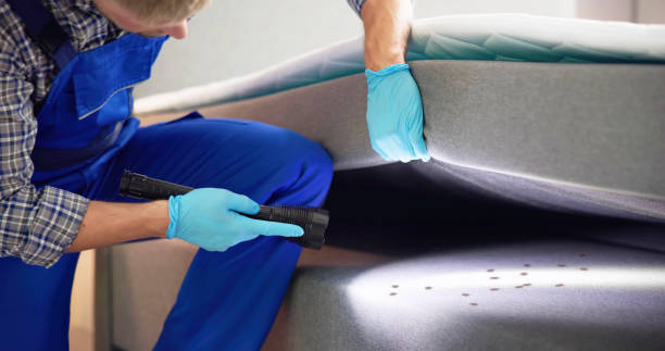 Best Commercial Pest Control Services  in Waterford, WI