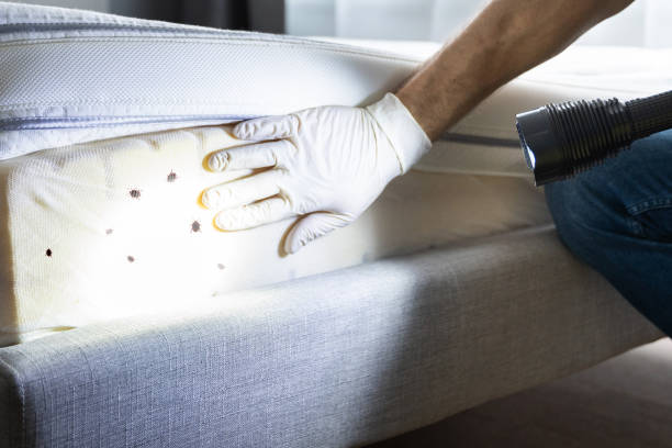 Best Rat Extermination Near Me  in Waterford, WI