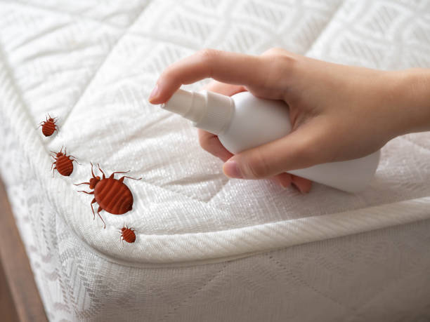Best Pest Prevention Services  in Waterford, WI