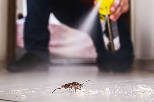 Best Spider Control Near Me  in Waterford, WI