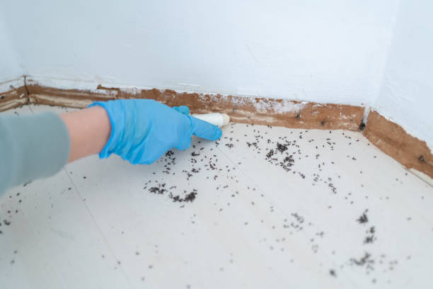 Best Pest Inspection Near Me  in Waterford, WI