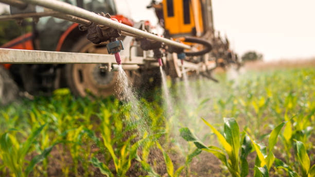 Best Pest Control for Homes  in Waterford, WI